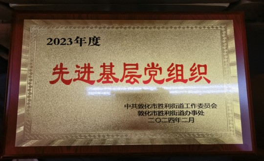 2024年2月1日，物业总公司敦化项目党支部被授予“2023年度先进基层党组织”荣誉称号_副本.jpg
