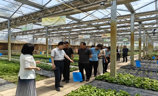 2024年6月27日，中国绿色食品发展中心有关辅导莅临农业总公司调查调研_副本.jpg