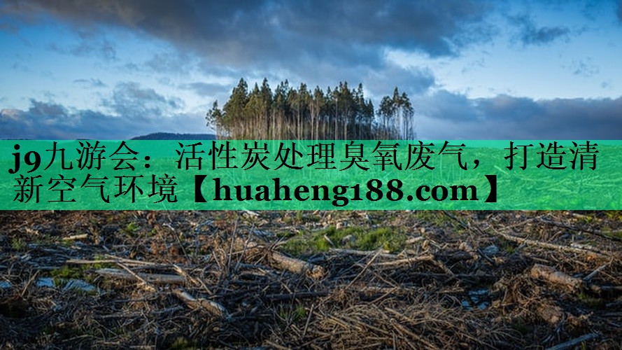 <strong>j9九游会：活性炭处理臭氧废气，打造清新空气环境</strong>