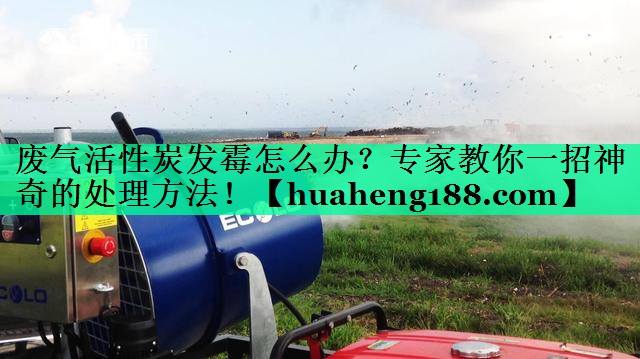 废气活性炭发霉怎么办？专家教你一招神奇的处理方法！